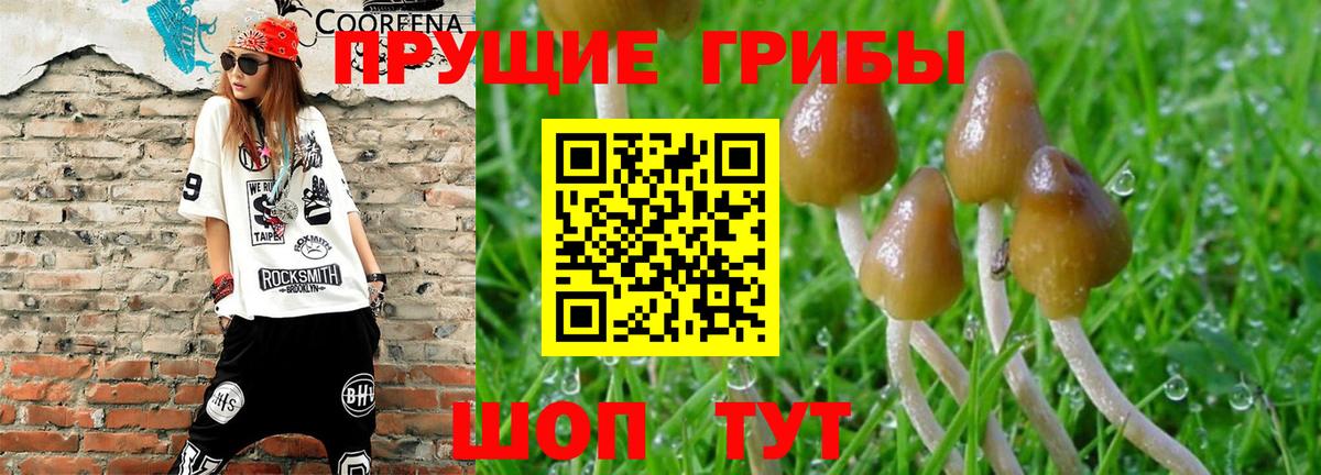 Новоуральск  Галлюциногенные грибы ЛСД  Вход с VPN 